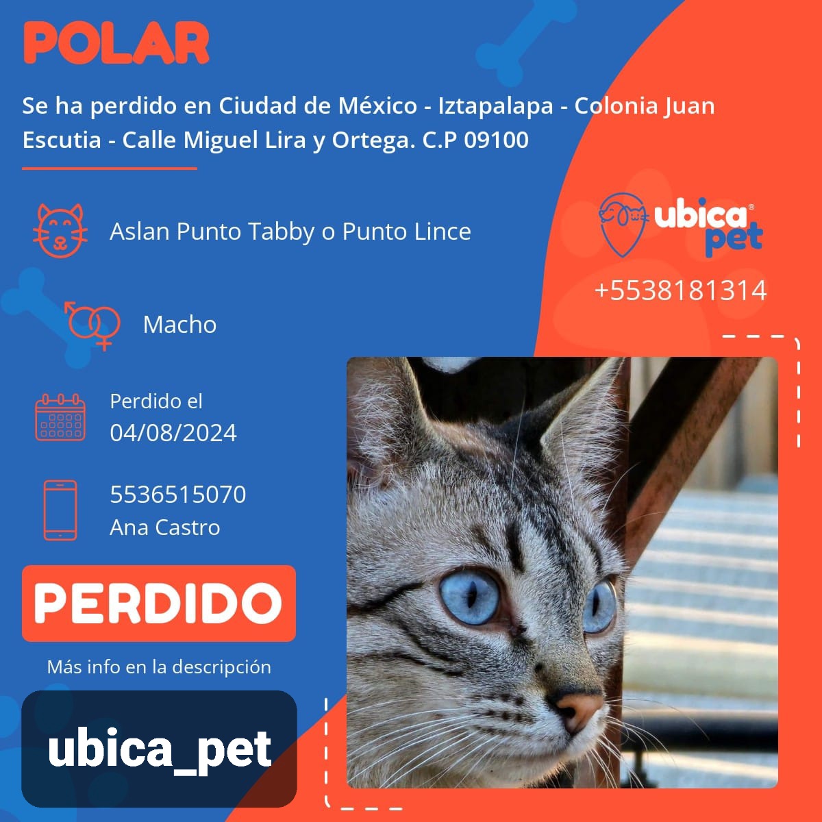 Volanteo Perifoneo ubica_pet 